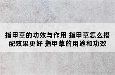 指甲草的功效与作用 指甲草怎么搭配效果更好 指甲草的用途和功效